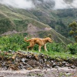 yonderjournal_deadreckoning_sunchulipass_dayone-4