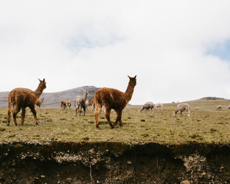 yonderjournal_deadreckoning_sunchulipass_dayone-8
